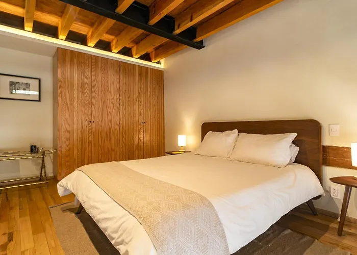 Departamento Emilio Donde Zona Centrica Cdmx Apartment Mexico City