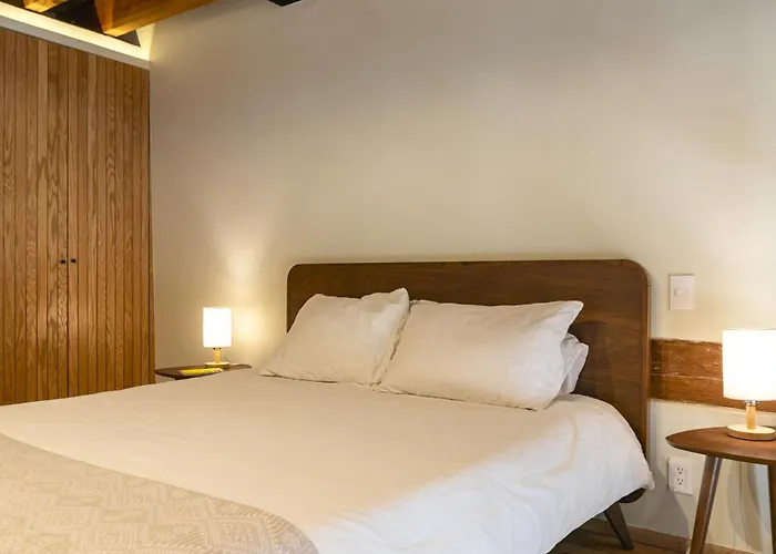Departamento Emilio Donde Zona Centrica Cdmx Apartment